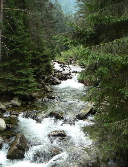 Eagle Rock View Apartment, Borovets Beli Iskar Ngoại thất bức ảnh